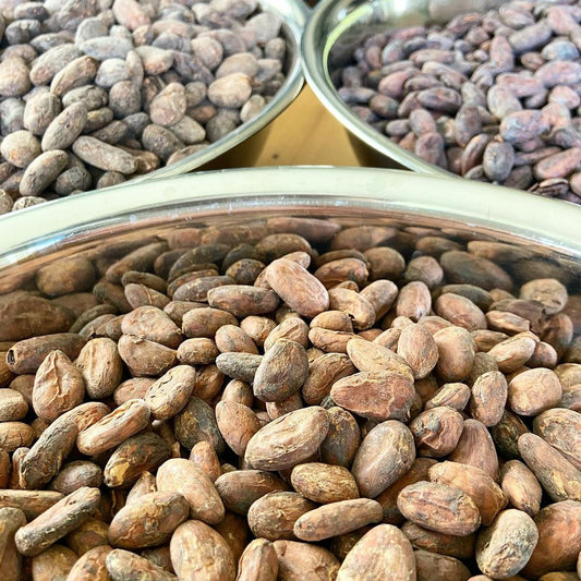 Roasted Cacao Beans | Cacao Beans for Sale | Art of Kava